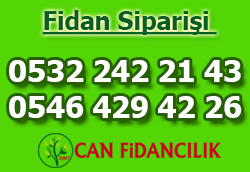 Can Fidancılık Fidan Siparişi